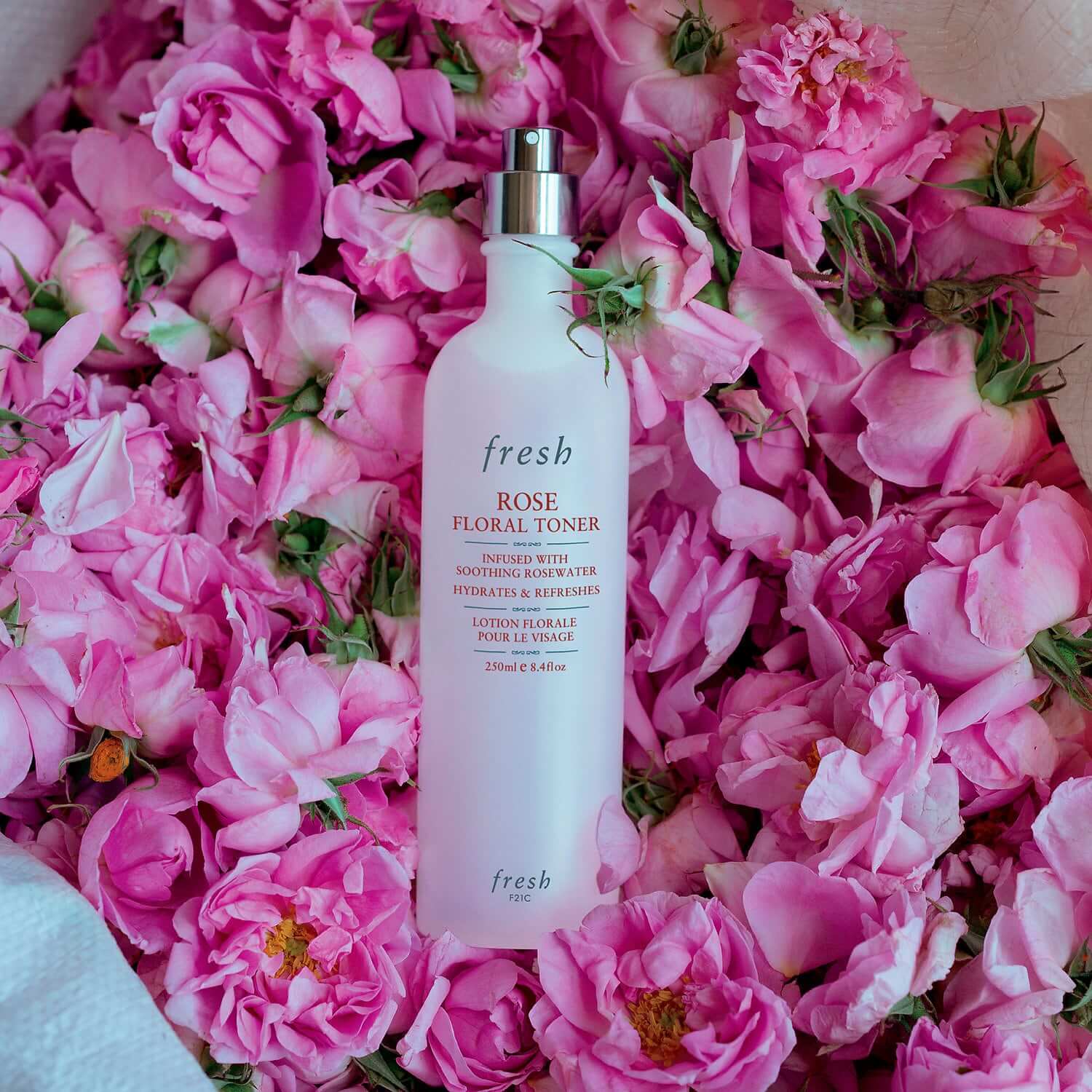 Fresh,Rose Floral Toner 5ml, โทนเนอร์ปรับสภาพผิว,fresh rose floral toner รีวิว ,fresh rose floral toner review ,fresh rose floral toner ราคา