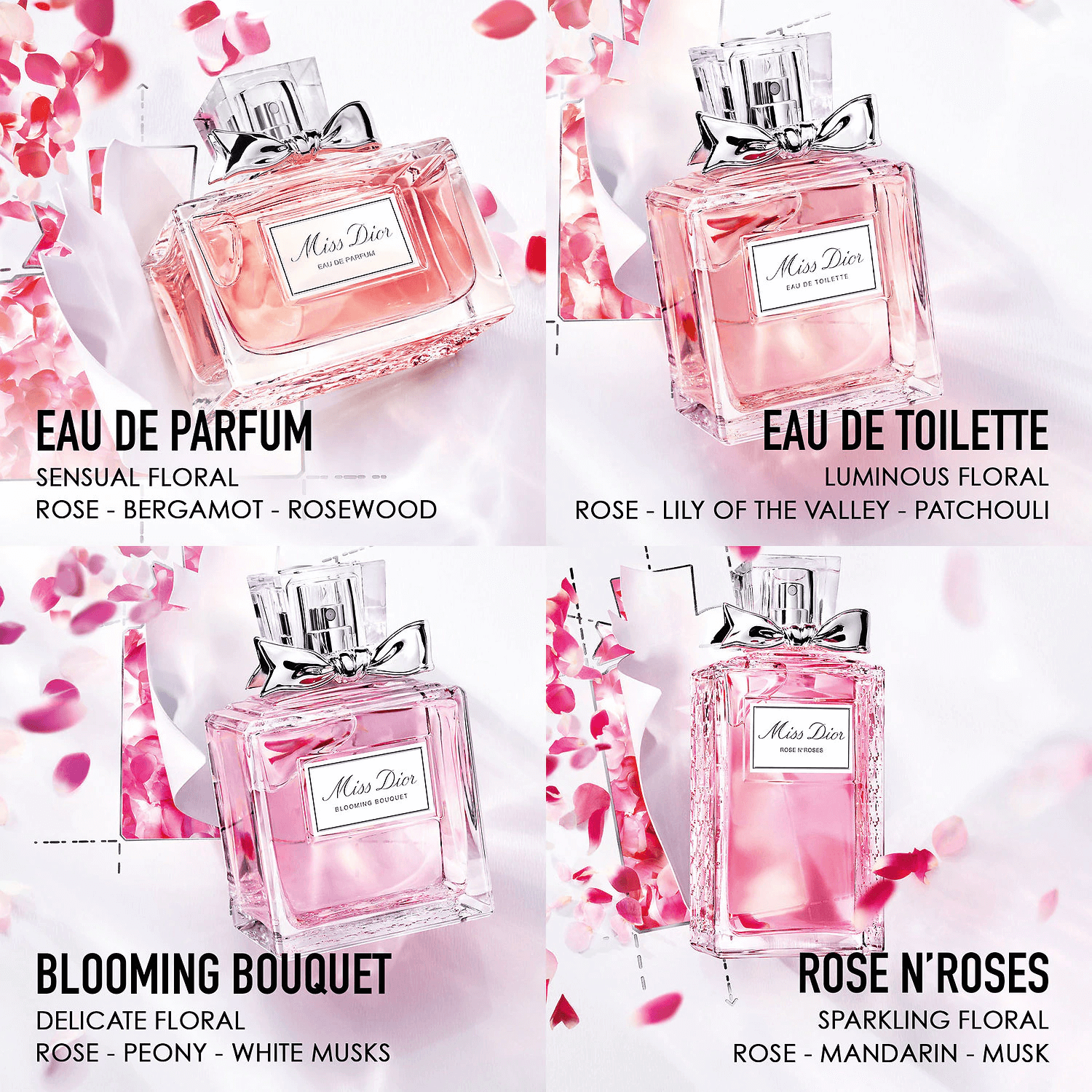 น้ำหอม Miss DIOR Rose N'Roses เป็นกลิ่นหอมของดอกไม้ที่เปล่งประกายความหลากหลายของดอกกุหลาบ Grasse Rose ที่มีสีสันและสดชื่นมีชีวิตชีวาด้วยกลิ่นซิททรัส Miss DIOR Rose N'Roses 