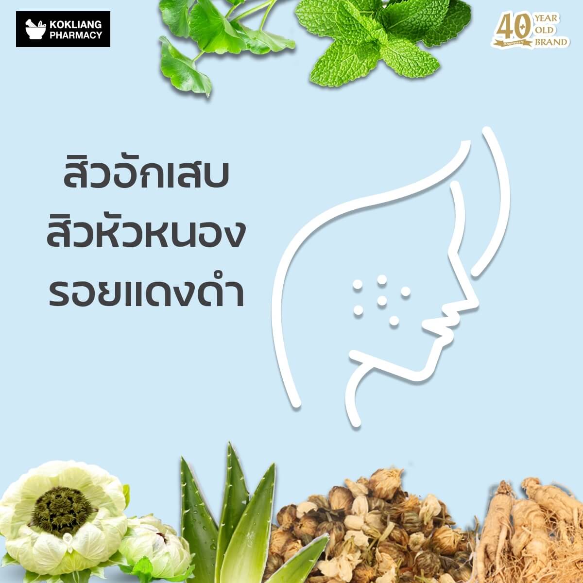 ก๊กเลี้ยง Kokliang ครีมบัวหิมะ 15 g  ในวงการแพทย์จีนรับรอง บัวหิมะ เป็นยอดสมุนไพรไร้คู่เปรียบของจีนมาช้านาน เพราะอุดมไปด้วยน้ำ แร่ธาตุและวิตามิน บอกได้เลยว่าเหมาะสำหรับผิวที่มีปัญหาแบบเร่งด่วน ผิวไหม้จากความร้อนและผดผื่นคัน   พร้อมผสานคุณค่าจากรากโสม พิมเสน ชามะลิ ใบบัวบกและอโลเวร่า ที่มีสรรพคุณลดบวมช้ำและคลายปวดเมื่อยกล้ามเนื้อ กระตุ้นการไหลเวียนของเลือดบริเวณแผลได้ดี เสริมสร้างเซลล์ผิวใหม่ทดแทนผิวเก่า หรือแผลอื่นๆที่จะกลายเป็นรอยแผลเป็น คลายปวดเมื่อยตามกล้ามเนื้อ   หากคุณยังไม่พอใจครีมหลายสิบขนานที่เคยใช้มาแล้ว ให้ครีมบัวหิมะเป็นองครักษ์พิทักษ์ผิวคุณไว้ที่บ้านหรือพกติดตัวก็ไม่เสียหาย