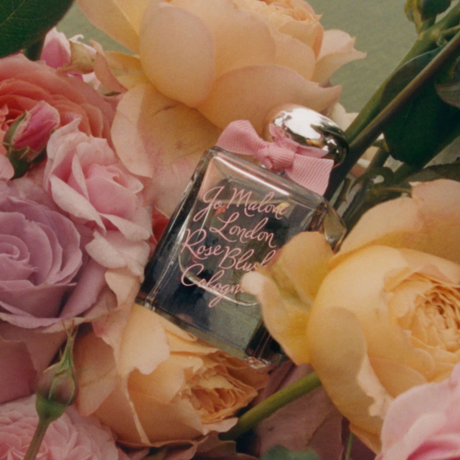 Jo Malone London Rose Blush Cologne คอลเลคชั่นสำหรับคนอินเลิฟกุหลาบ ต้องห้ามพลาด! กลีบกุหลาบที่บอบบางถูกจับมาใส่ไว้ในเยลลี่แสนอร่อย เสน่ห์ของกลีบดอกสีชมพูระเรื่อคือแรงบันดาลใจของสูตรการถนอมอาหารที่ล้ำค่า 